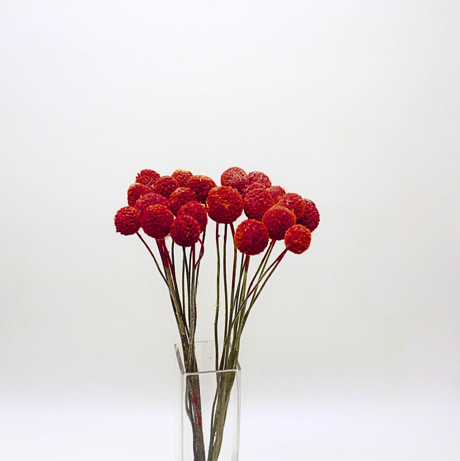 FANCY Artificial Billy Button Flowers, Dried-Style Craspedia Ball Stems, 40 cm Length, Multiple Colours, Decorative Home Decor (10, Yellow) - صورة 3