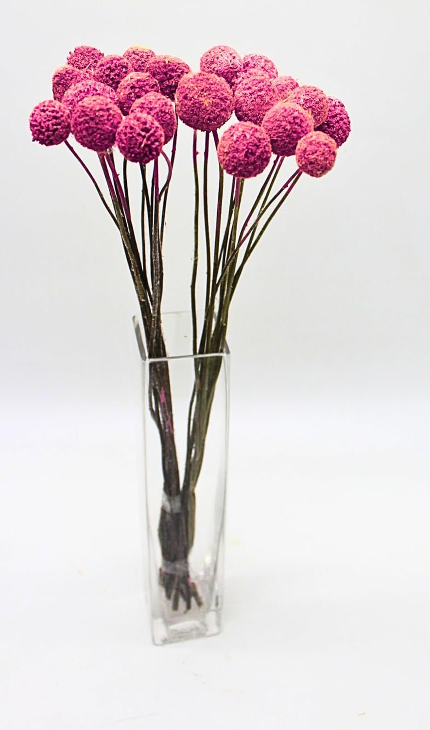 FANCY Artificial Billy Button Flowers, Dried-Style Craspedia Ball Stems, 40 cm Length, Multiple Colours, Decorative Home Decor (10, Yellow) - صورة 5