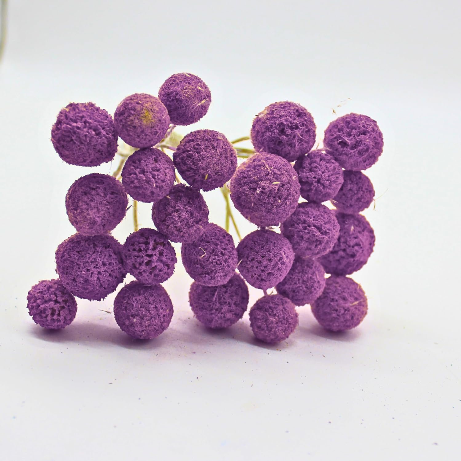 FANCY Artificial Billy Button Flowers, Dried-Style Craspedia Ball Stems, 40 cm Length, Multiple Colours, Decorative Home Decor (10, Yellow) - صورة 6