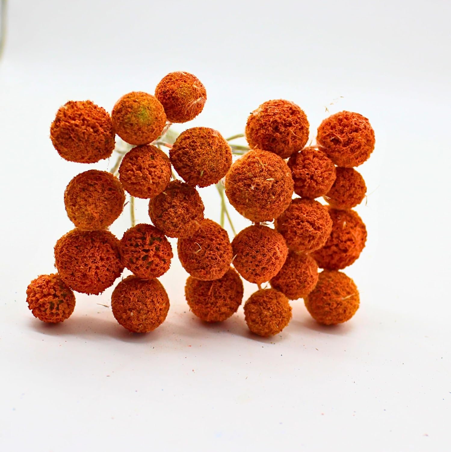 FANCY Artificial Billy Button Flowers, Dried-Style Craspedia Ball Stems, 40 cm Length, Multiple Colours, Decorative Home Decor (10, Yellow) - صورة 7