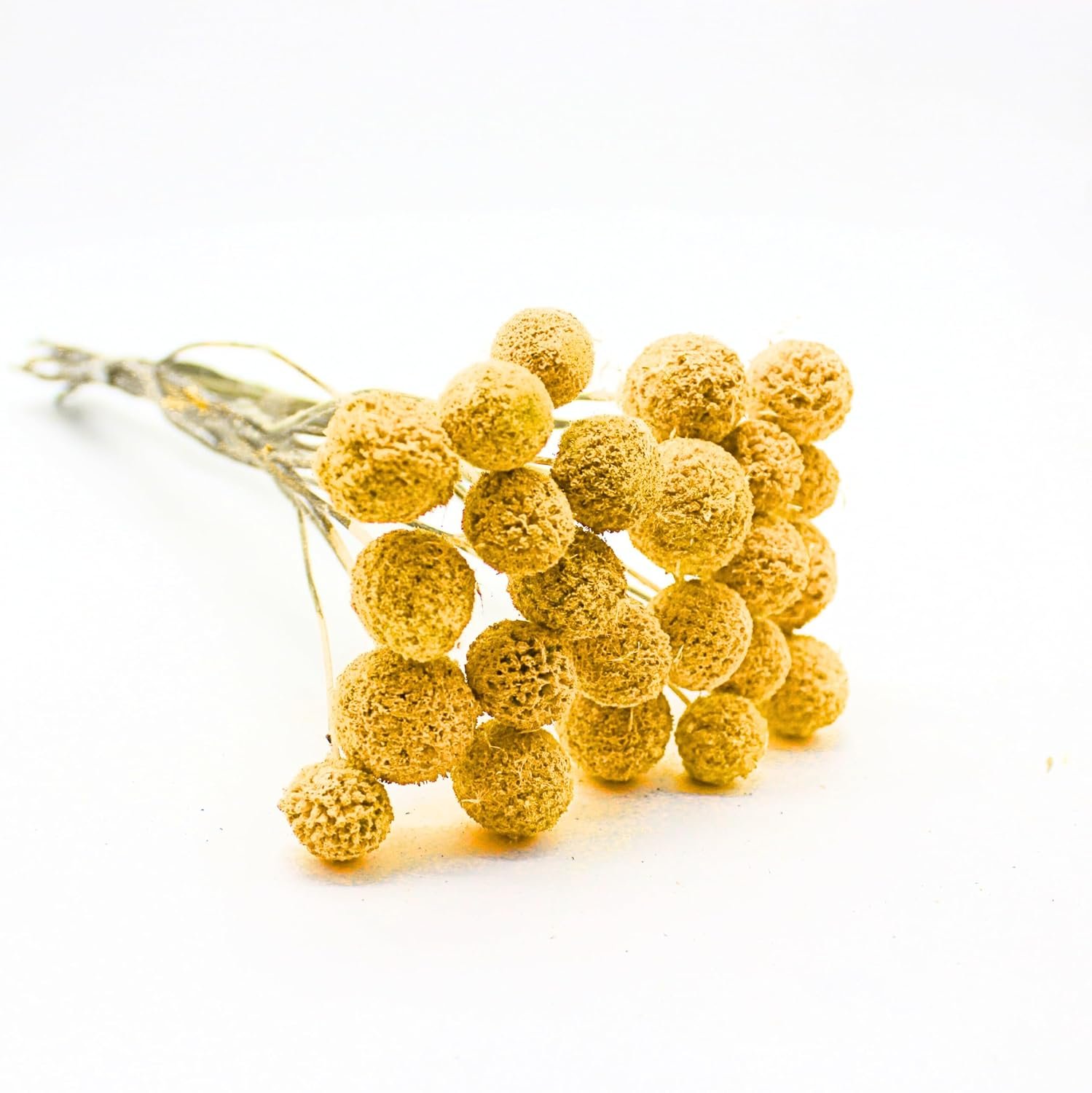 FANCY Artificial Billy Button Flowers, Dried-Style Craspedia Ball Stems, 40 cm Length, Multiple Colours, Decorative Home Decor (10, Yellow) - صورة 9