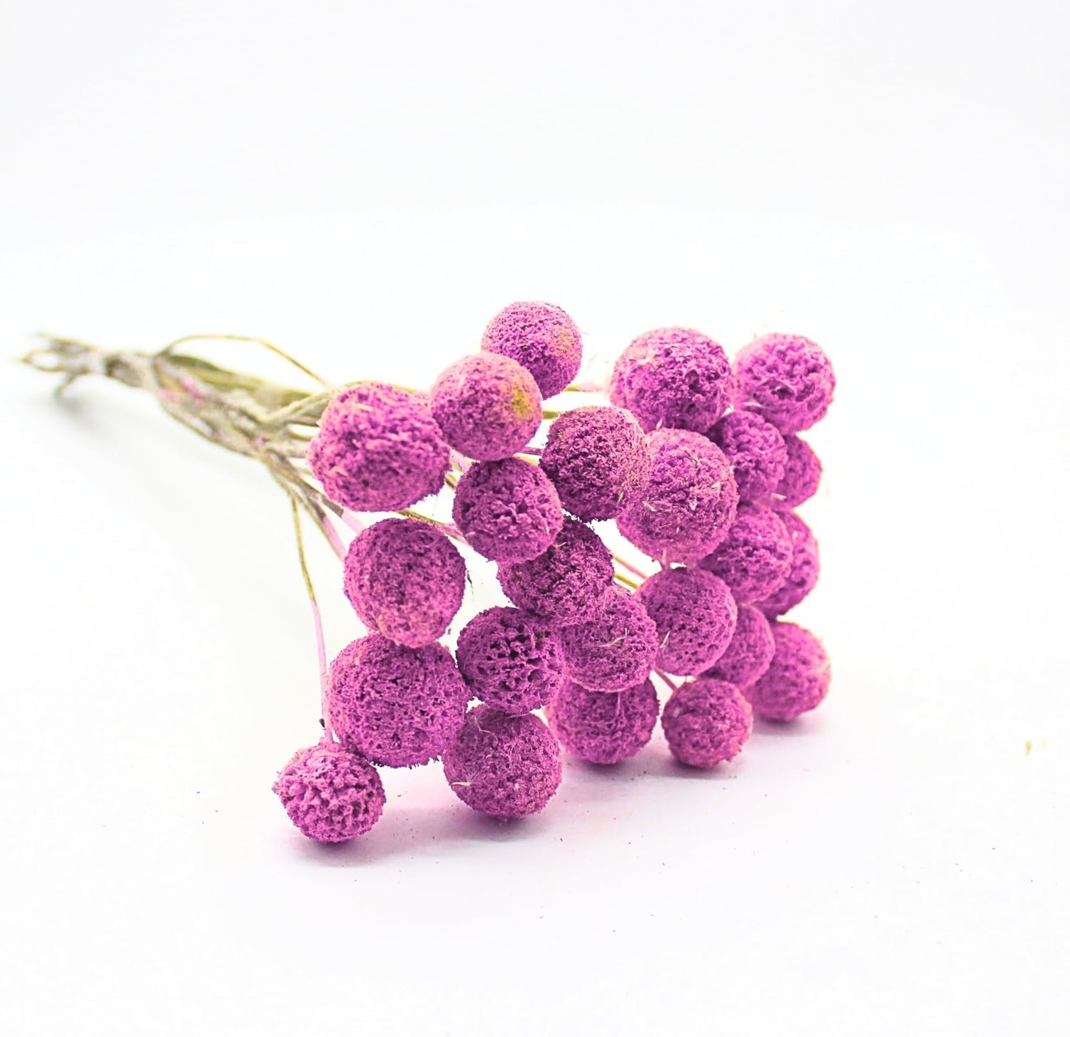 FANCY Artificial Billy Button Flowers, Dried-Style Craspedia Ball Stems, 40 cm Length, Multiple Colours, Decorative Home Decor (10, Yellow) - صورة 8