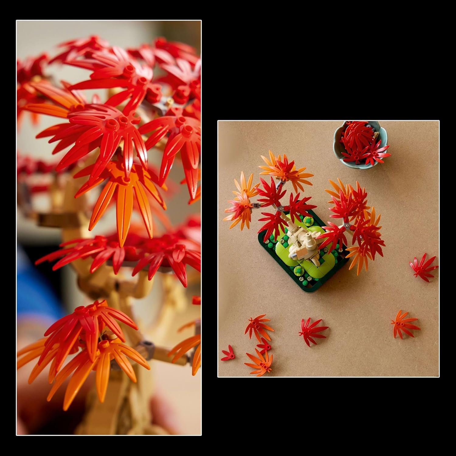 مجموعة بناء ديكور نبات شجرة بونساي القيقب الأحمر اليابانية من ليغو Botanicals للبالغين، مجموعة الطبيعة للنساء والرجال، نموذج عرض ليغو قابل للتجميع، هدية شجرة بونساي للاحتفال... - صورة 5