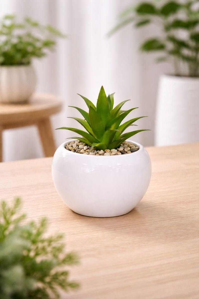 صبارة صناعية واقعية في أصيص سيراميك أبيض مزين بحصى، زرع زينة داخلي مودرن للمنزل والمكتب والرفوف، نبات اصطناعي مظهر طبيعي للطاولة وغرفة المعيشة - صورة 6