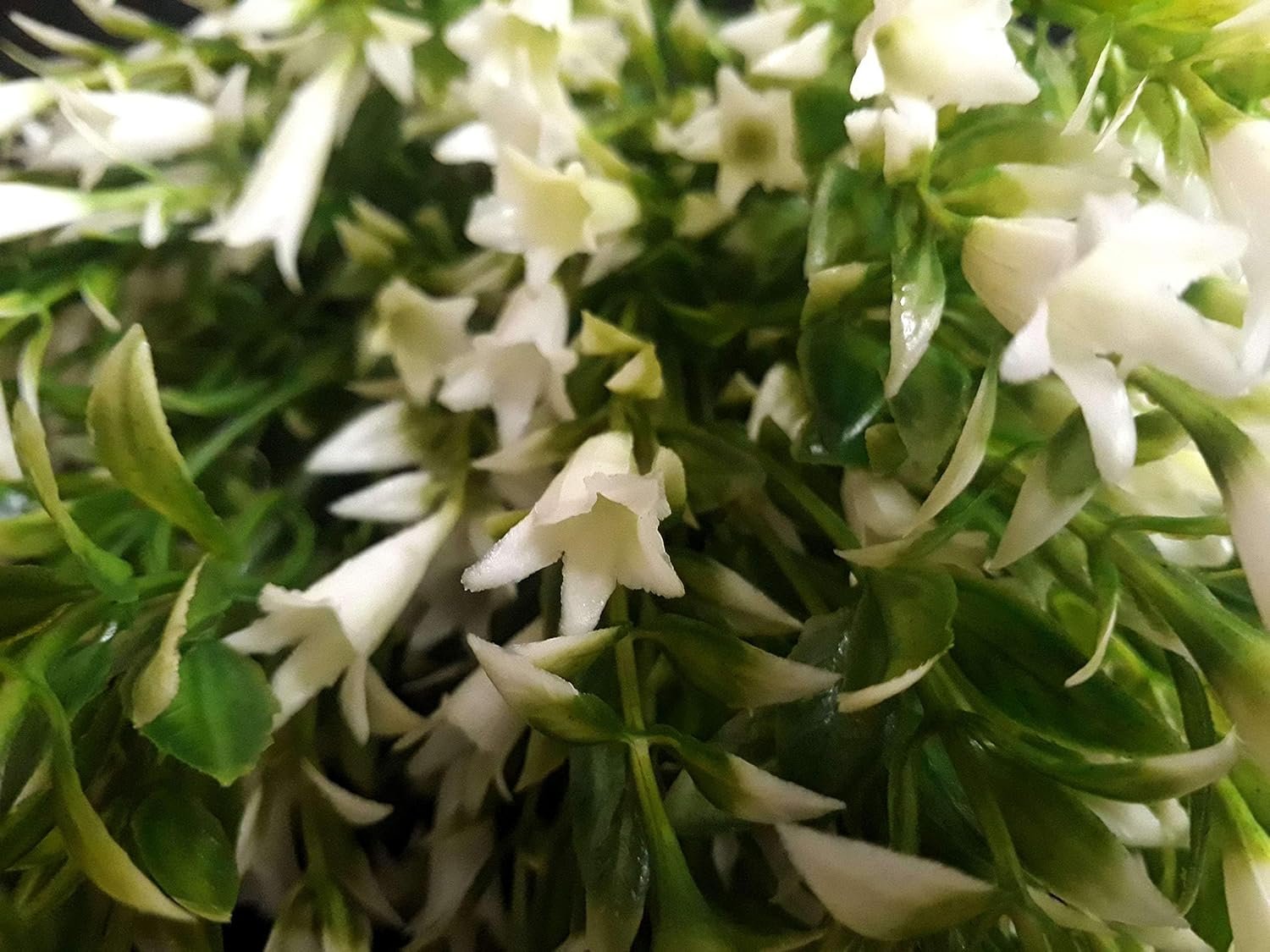 شجيرات مزهرة - باقة زهور صناعىة _ 17 فرع، ابيض - صورة 3