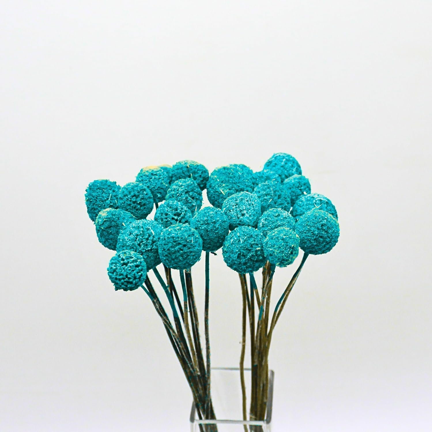 FANCY Artificial Billy Button Flowers, Dried-Style Craspedia Ball Stems, 40 cm Length, Multiple Colours, Decorative Home Decor (20, Blue Bayou)
