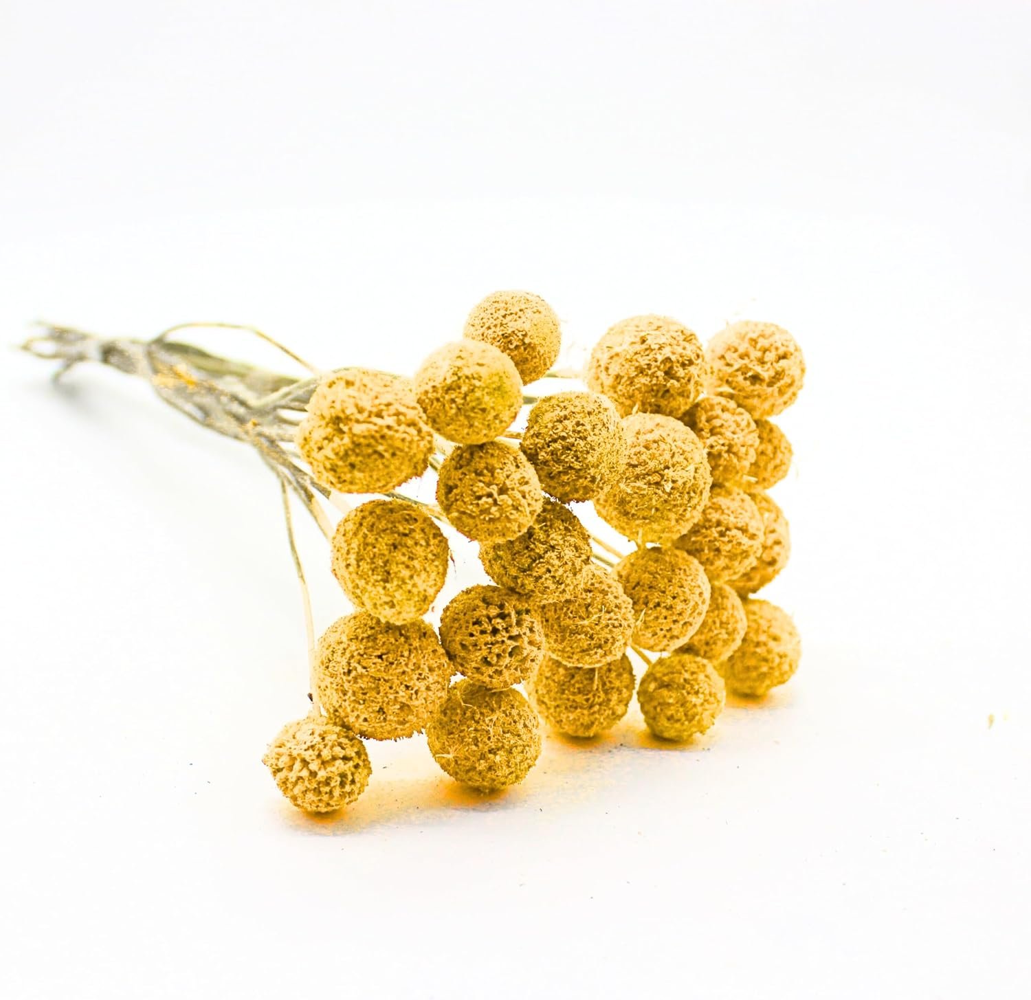 FANCY Artificial Billy Button Flowers, Dried-Style Craspedia Ball Stems, 40 cm Length, Multiple Colours, Decorative Home Decor (20, Blue Bayou) - صورة 7