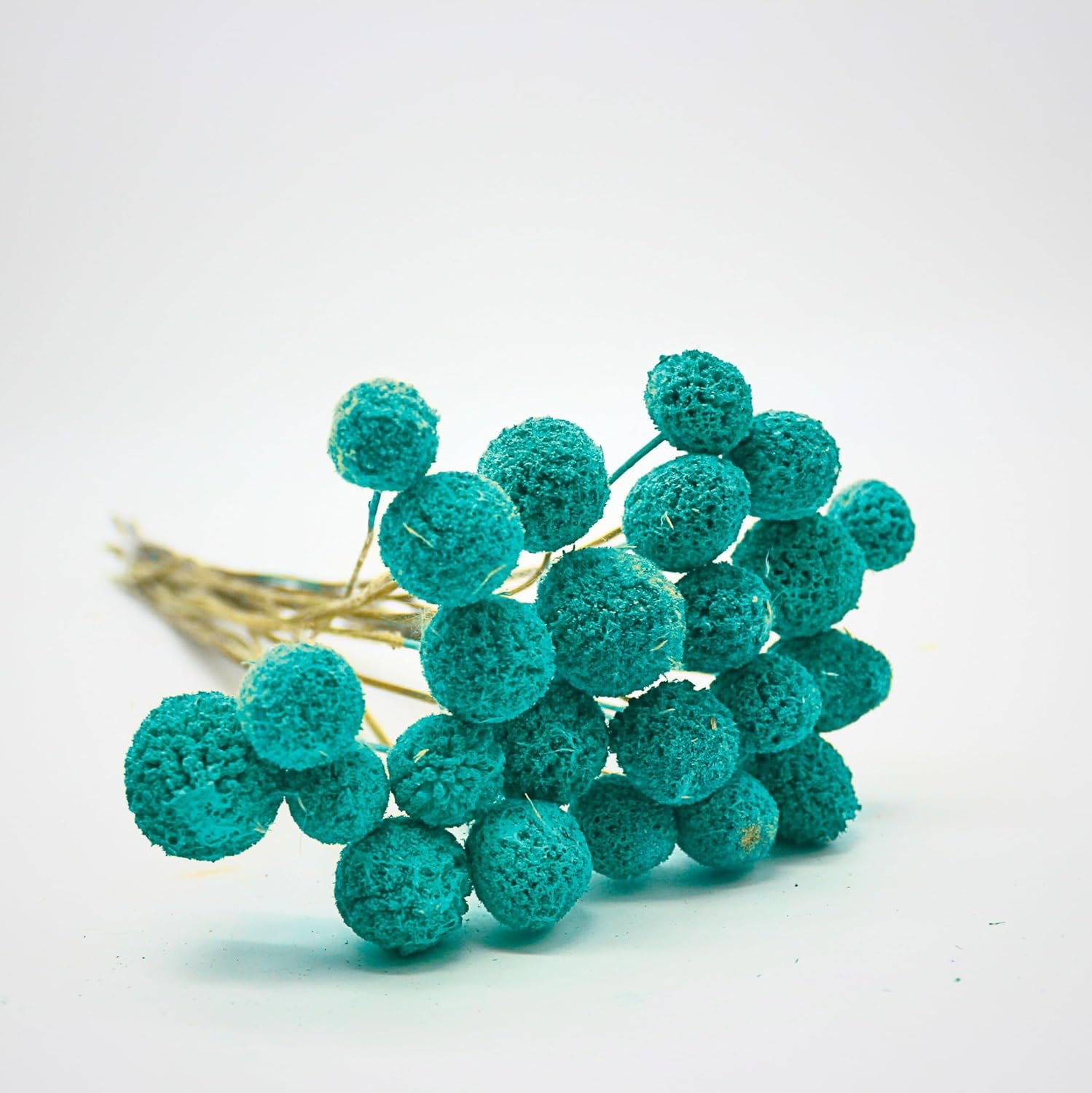 FANCY Artificial Billy Button Flowers, Dried-Style Craspedia Ball Stems, 40 cm Length, Multiple Colours, Decorative Home Decor (20, Blue Bayou) - صورة 4