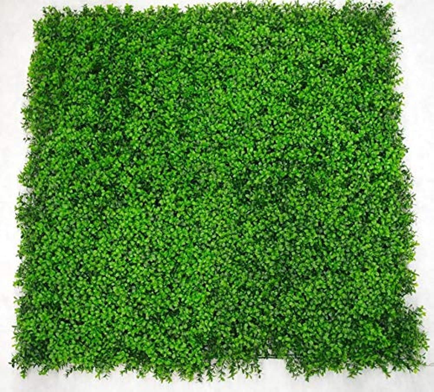 جرين وول حائط اخضر جريس فينس مقاس واحد 80x120 سم - صورة 3