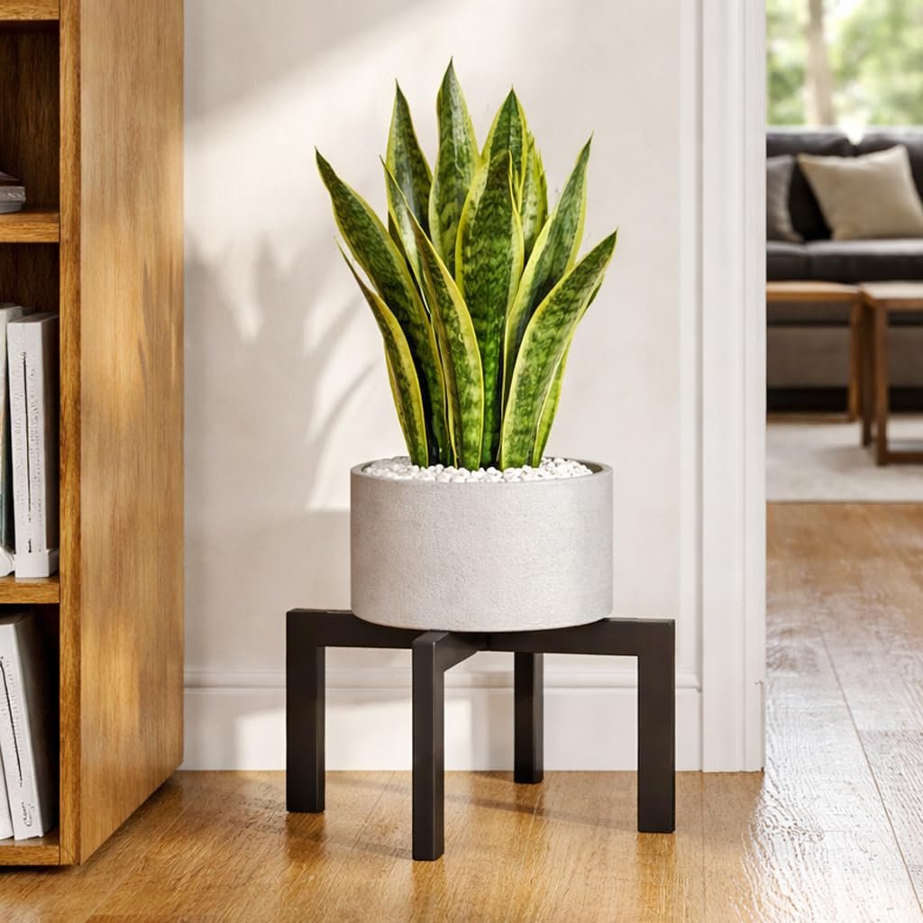 pickpiff Plant Stand Indoor Outdoor Flower Holder Riser Low Profile 150lbs Heavy Duty For Pots 5–12'' Black, Metal - صورة 4