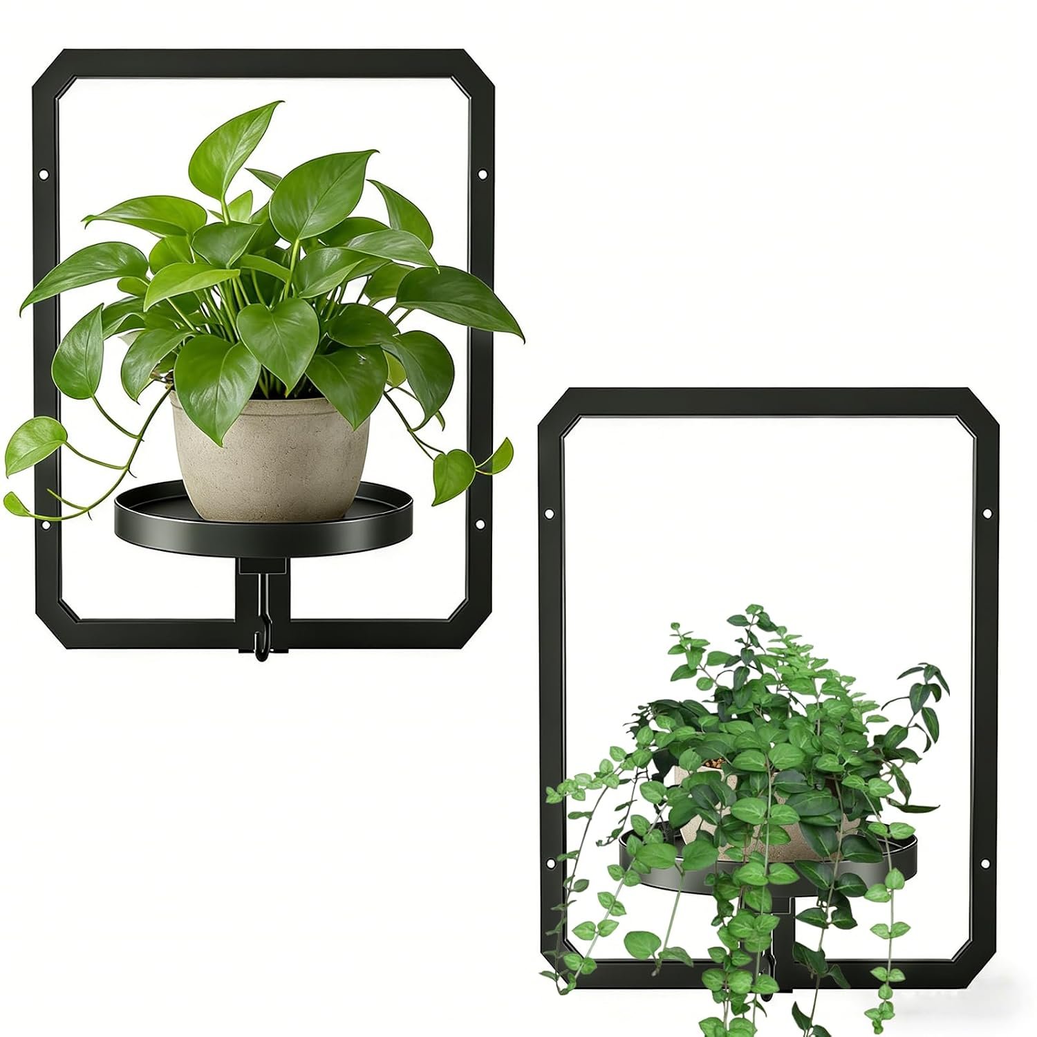 Indoor Wall Plant Stand with Parts Metal Plant Rack Window Plant Shelves Hanging Planters Display Shelving for Hanging Plants for Home Indoor and Outdoor (rectangle) - صورة 8