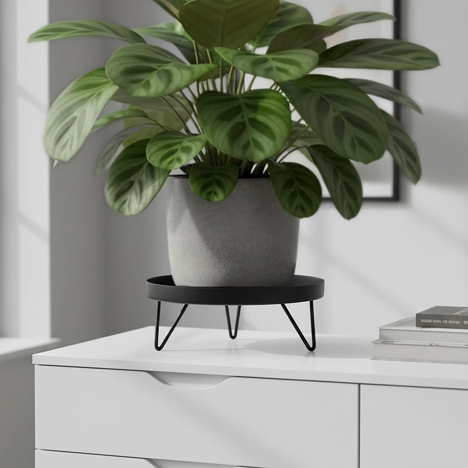 Spetebo Flower Stand Metal Black Round – Diameter 22 cm – Flower Stool Industrial Design for Indoor Use – Plant Stand Flower Plate Plant Pedestal Flower Pot Stand Plants... - صورة 7