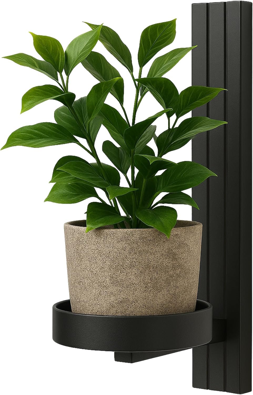 Plant Shelf Wall - Hanging Flower Holder - Made of Metal, Modern Wall Decoration for Living Room, Teenager's Room, Bedroom, Kitchen - 12 x 15 x 24 cm - Black - Pot Hole Diameter...