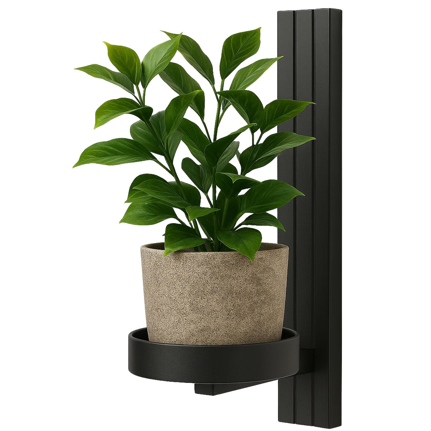 Plant Shelf Wall - Hanging Flower Holder - Made of Metal, Modern Wall Decoration for Living Room, Teenager's Room, Bedroom, Kitchen - 12 x 15 x 24 cm - Black - Pot Hole Diameter... - صورة 6