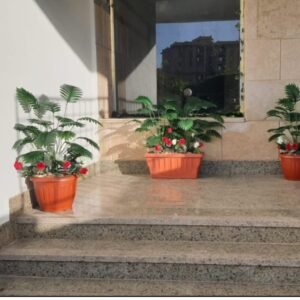 مجموعة ديكور خارجي