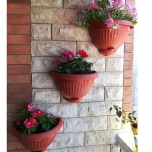 مكرميه حائط