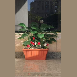 حوض مدخل كبير