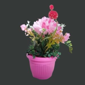 مزهرية زرع صغيرة دائرية