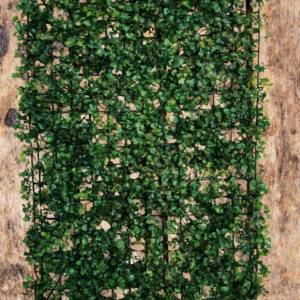 بلاطة خضراء سادة