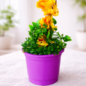 بوت زرع دائري