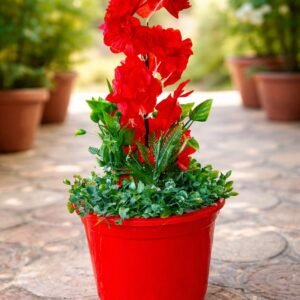 بوت زرع دائري