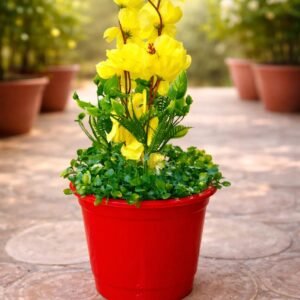 بوت زرع دائري