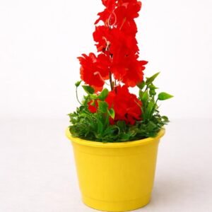 بوت ورد كبيرة صفراء