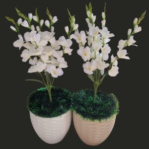 شجرة ألوان أبيض